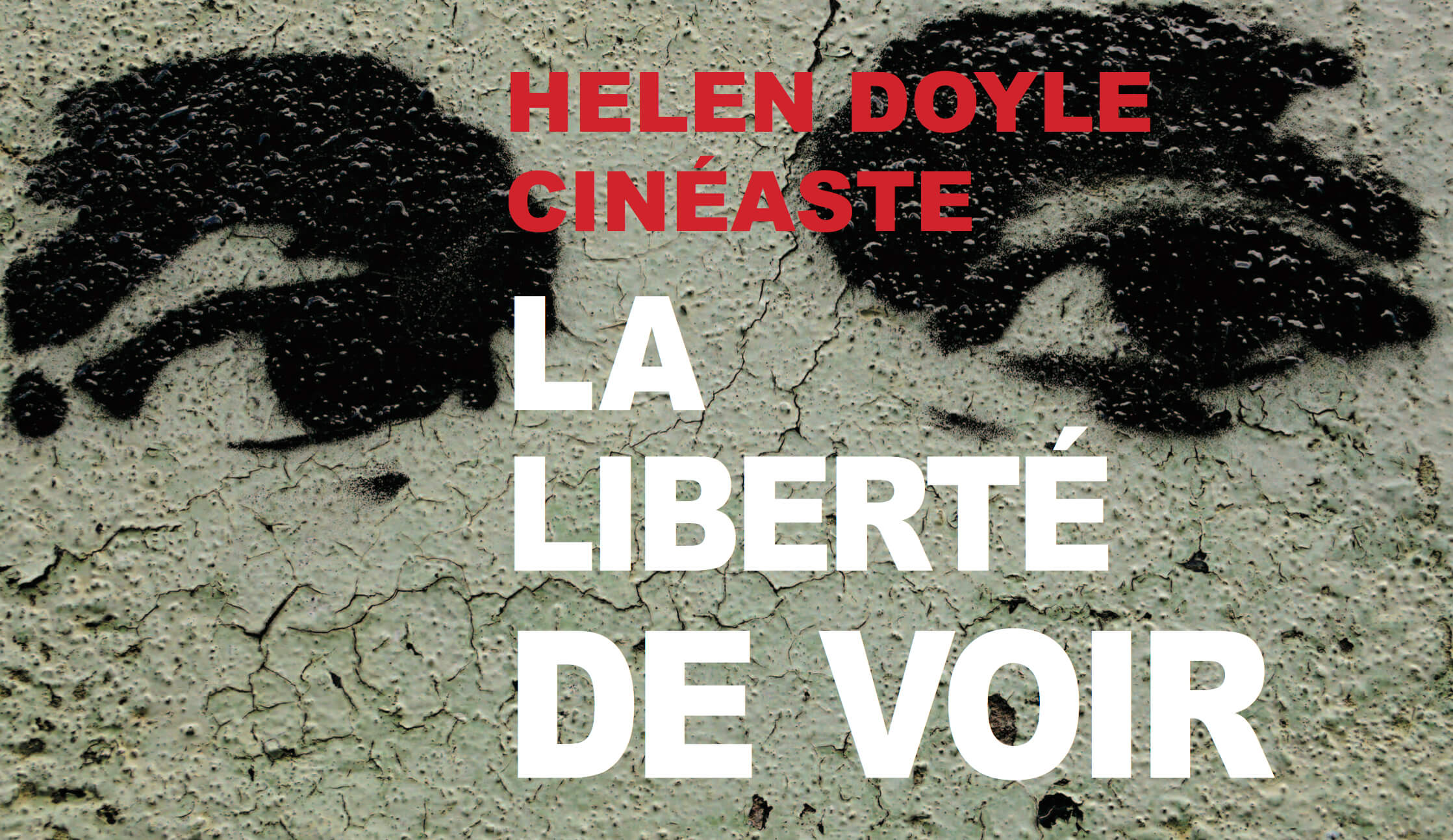 Galerie de photos -  Coffret et monographie Helen Doyle, cinéaste : La liberté de voir Helen Doyle 2015