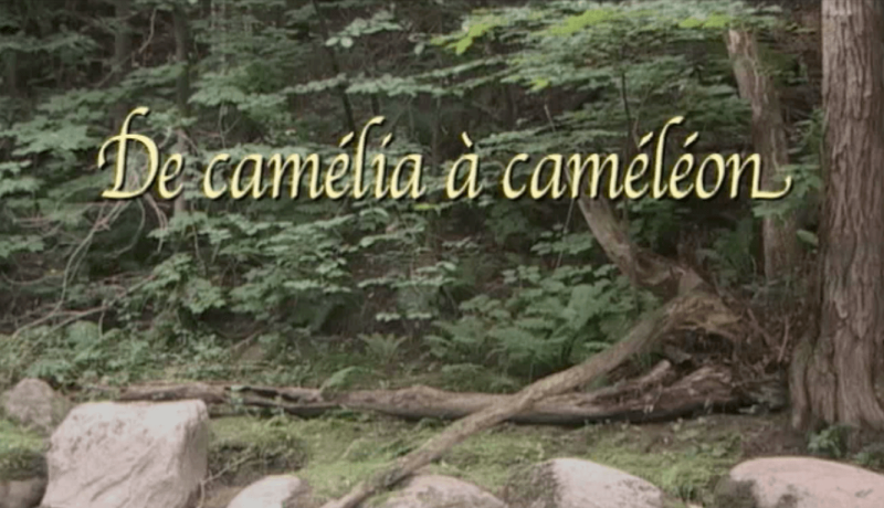 De camélia à caméléon - Andrée Casgrain - 2004